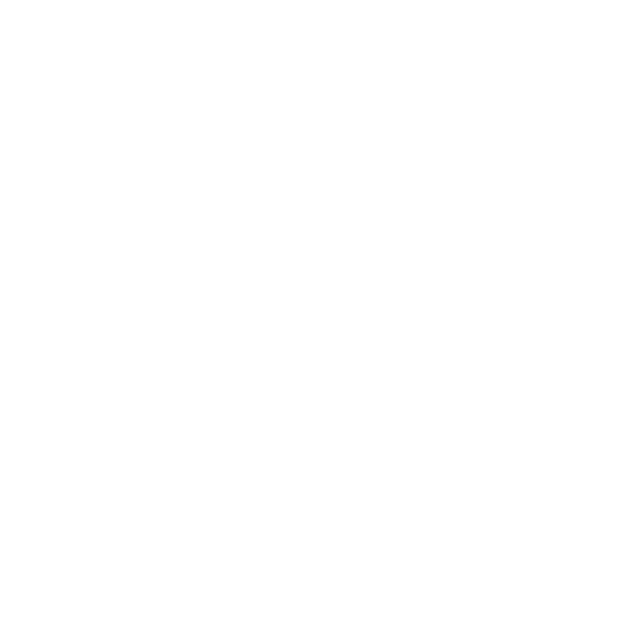 AIY Logo